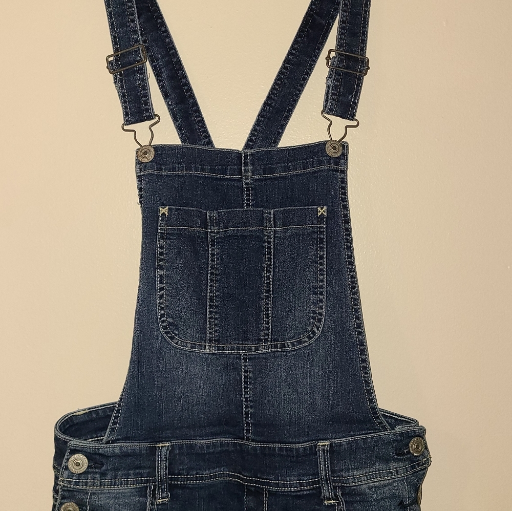 Wallflower Overalls